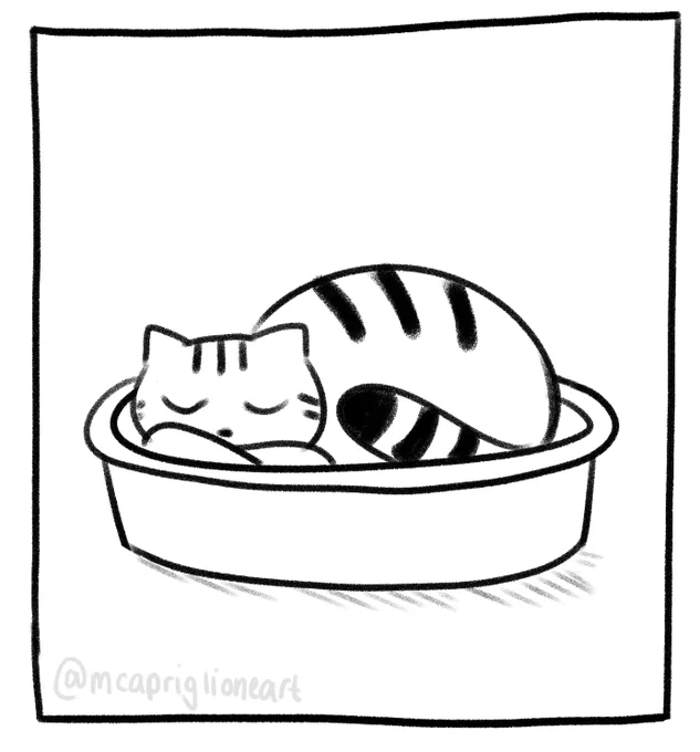 goodnight, cat! 💖🐱 