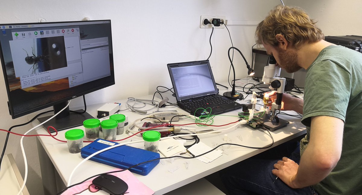 BlankeLab tweet media