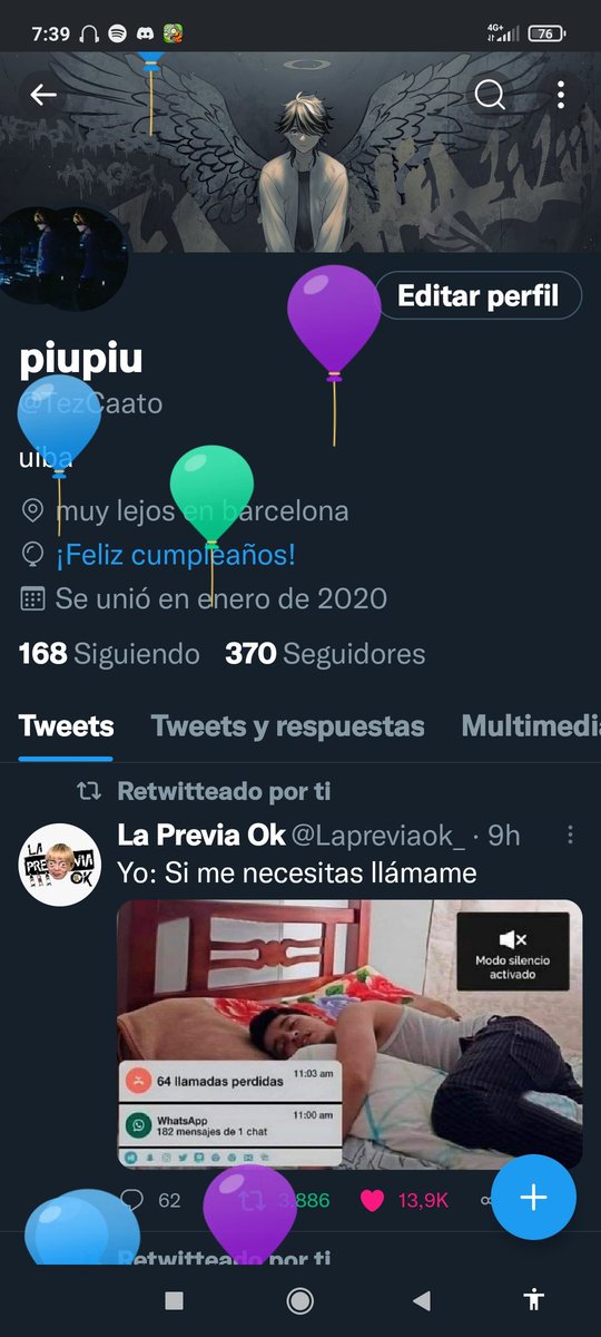gato tweet media