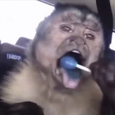 honkymonki's tweet photo. #NewProfilePic https://t.co/Vza8kCK7SK