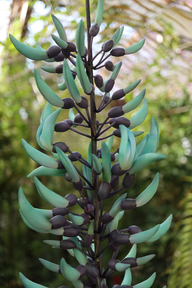 私を忘れないで Twitter Search Twitter