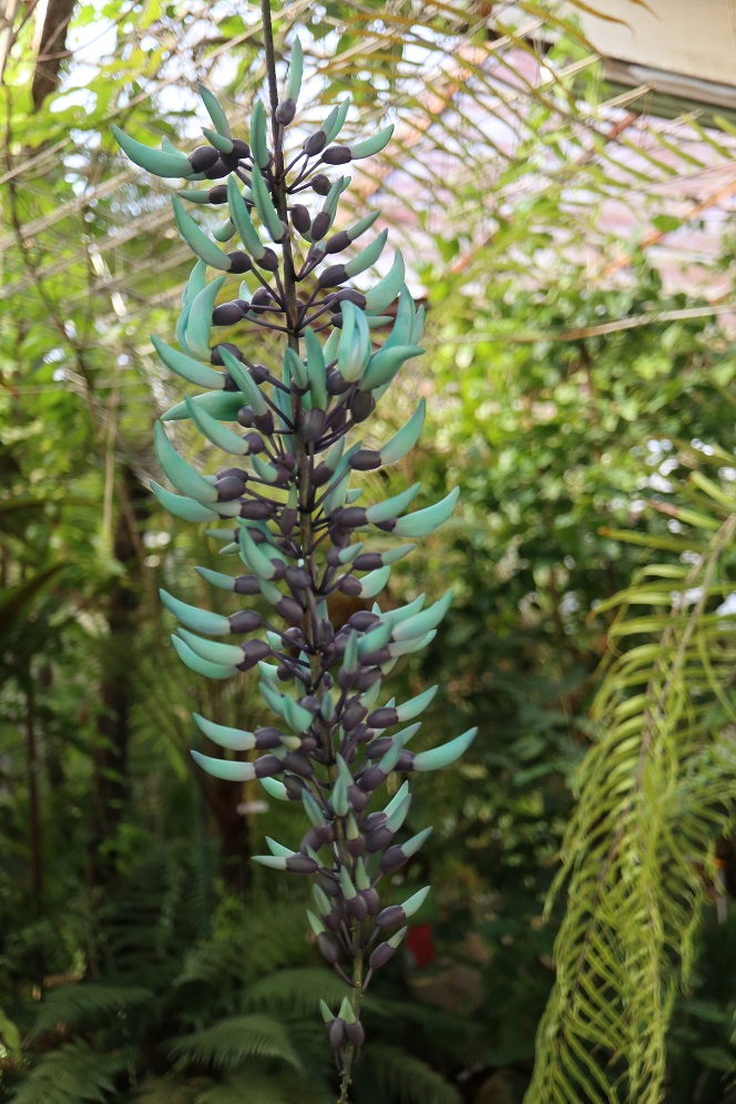 私を忘れないで Twitter Search Twitter