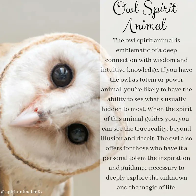 heart_craft's tweet photo. #Owl https://t.co/nFPLXG2LeP