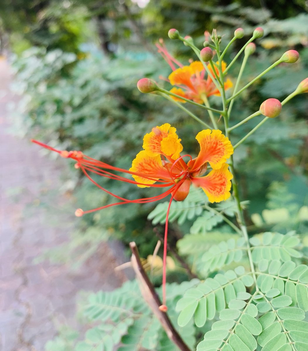 minicnair's tweet image. Ek hi khwab
Kai baar dekha hain maine….

#Summer #Unabashed