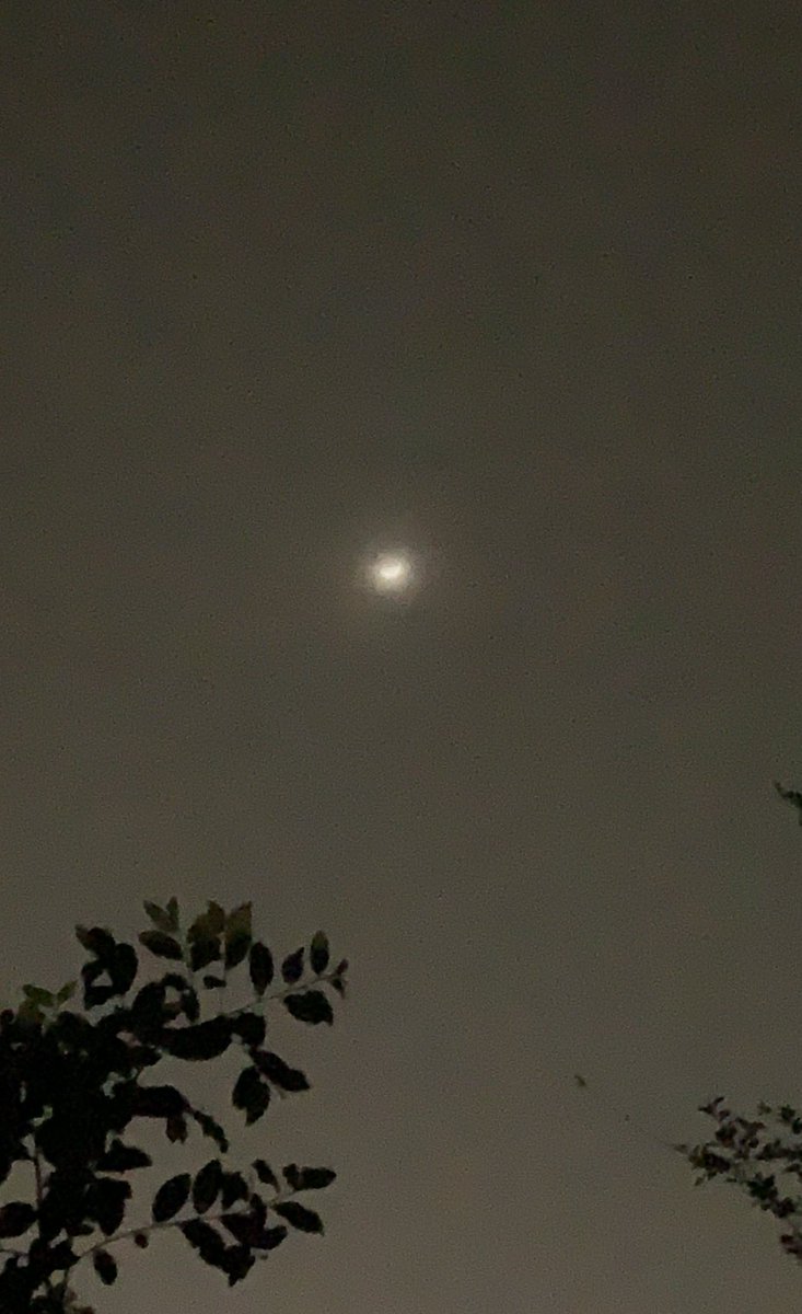 okamoto_sandra's tweet image. Good night, Columbus! The waxing crescent moon is at 30.3% in a cloudy sky. A few minutes after I took this, it was completely covered by the clouds. #ColumbusGA #04/06/2022 #completelycloudy #lightdrizzle #warm #nobreeze #distanttrainwhistle #mymoonobsessioncontinues
