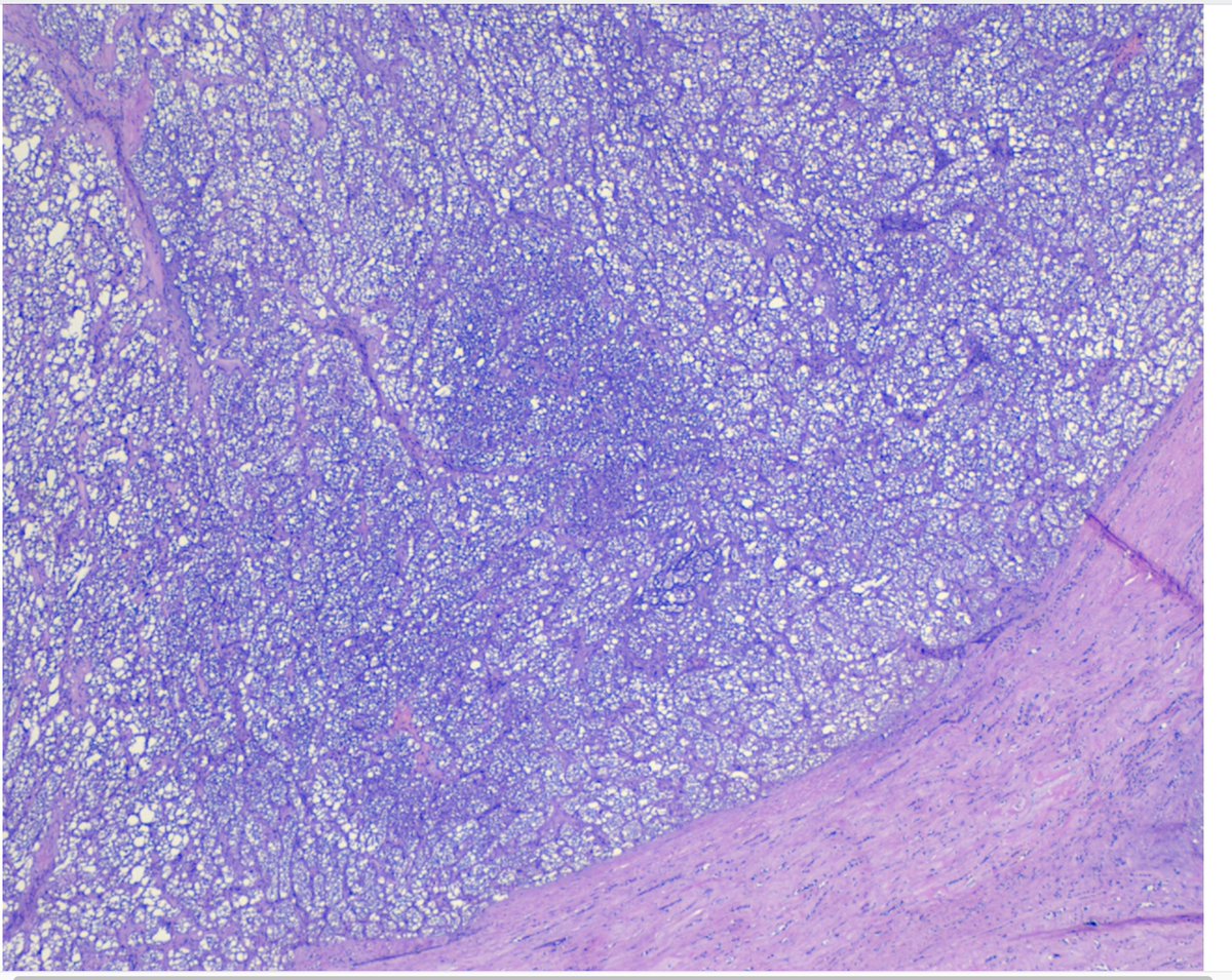 Willy Kemp tweet media