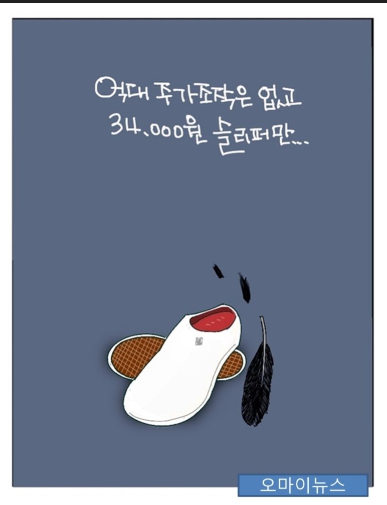 기레기들 애쓴다 애써