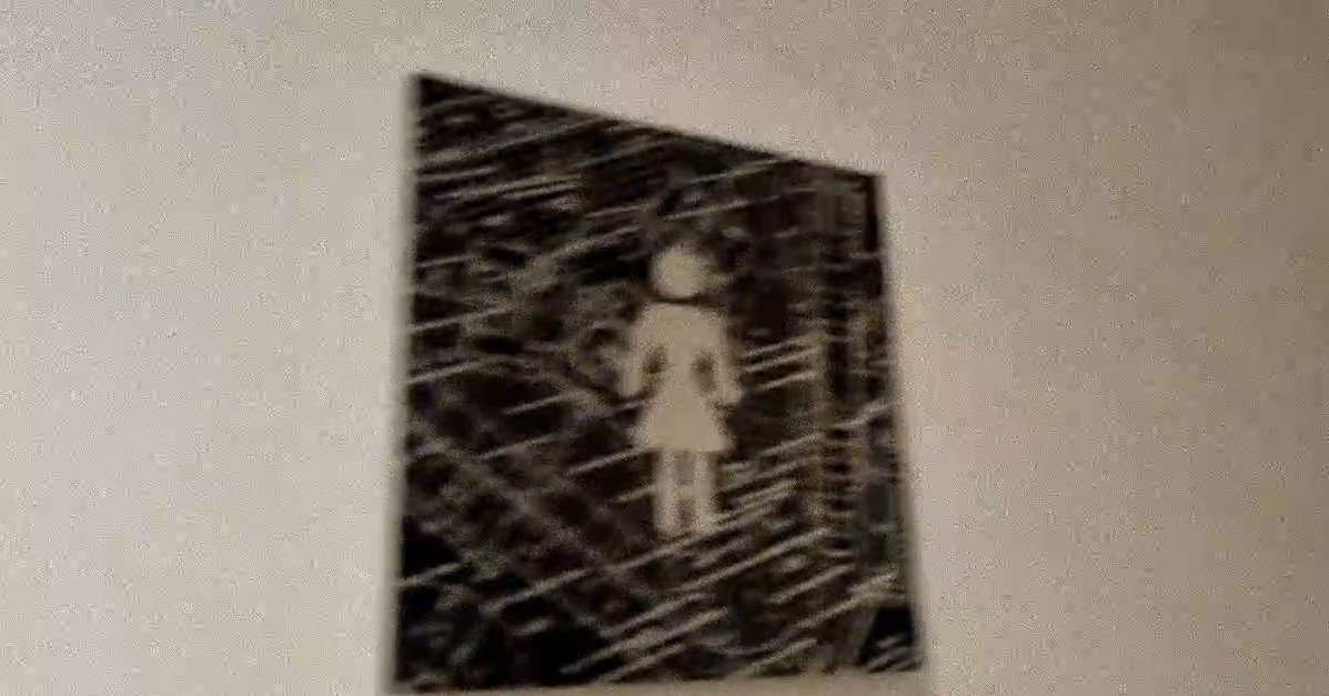 Pelitoscortos tweet media