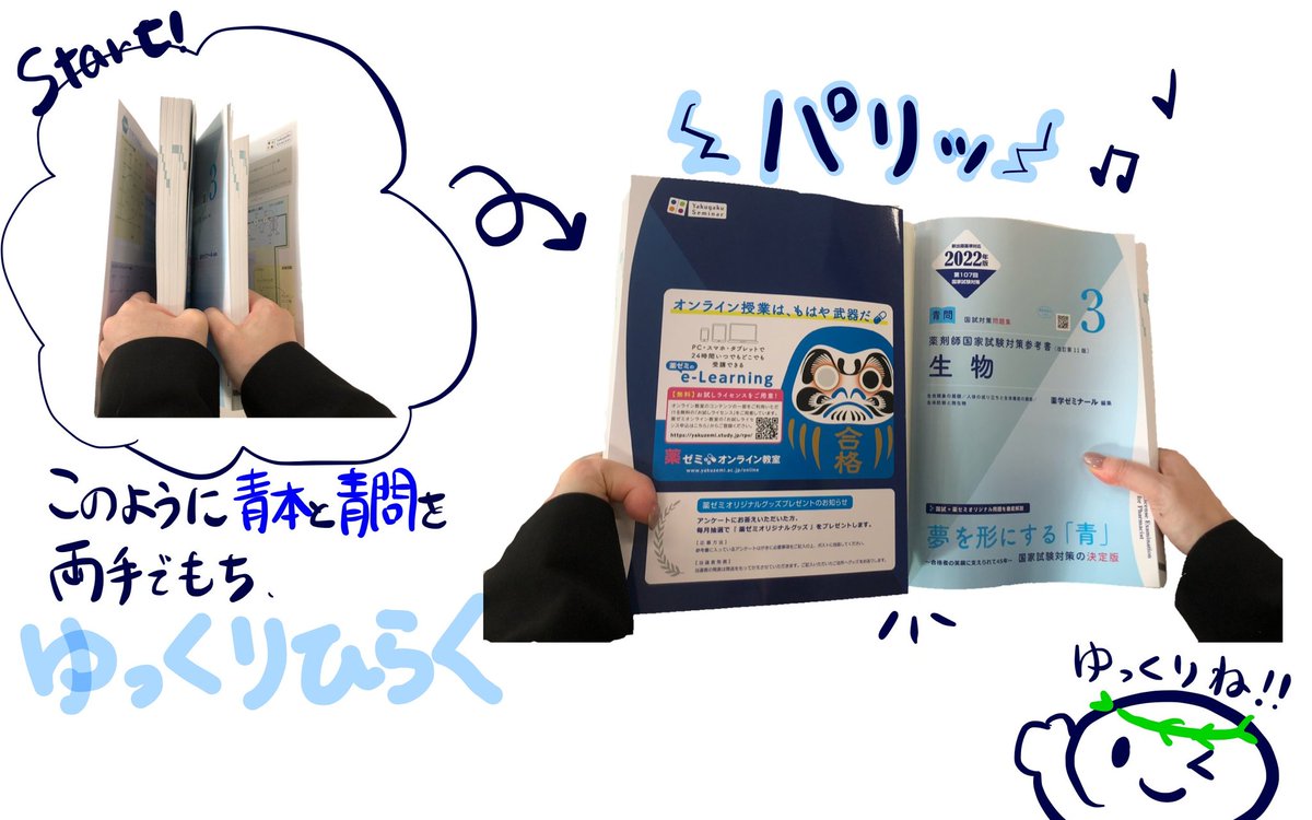 107回薬剤師国家試験 青本 青問 セット 薬学ゼミナール elc.or.jp
