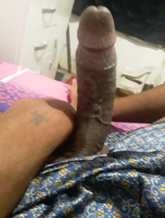 Nautillus11's tweet photo. Quero dormir mas esse sacaninha tá muito acordado https://t.co/mpPqjacwNh