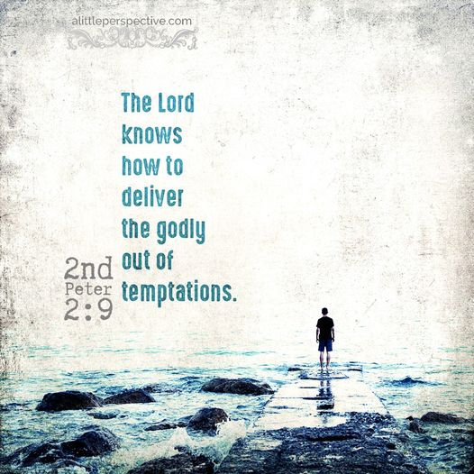 IBCBukitIndah's tweet photo. #2Peter2:9 ESV
The Lord knows how to rescue the godly from trials. https://t.co/RRPe9E3tkf