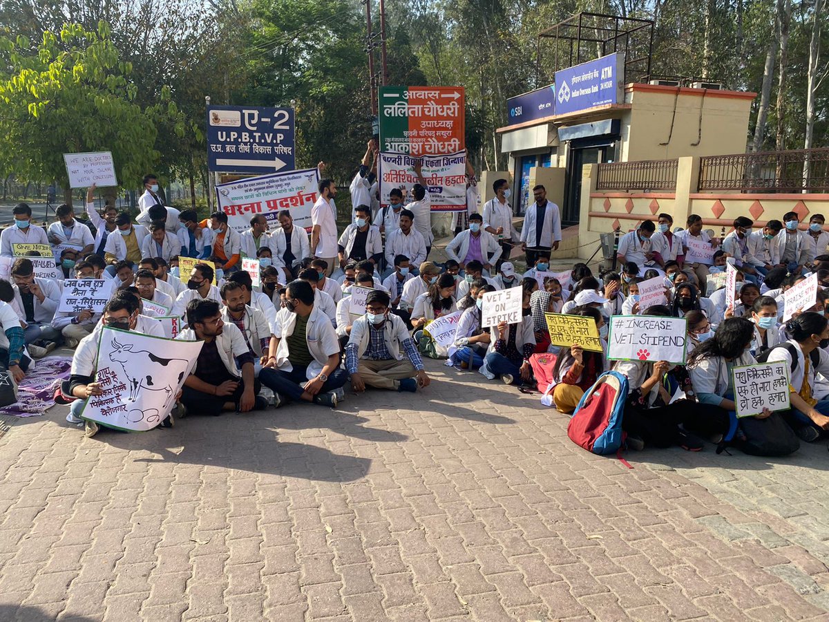 Our right our fight🤘 All three veterinary universities are in this fight now. Let's raise our voices together and let them be heard by the government👍