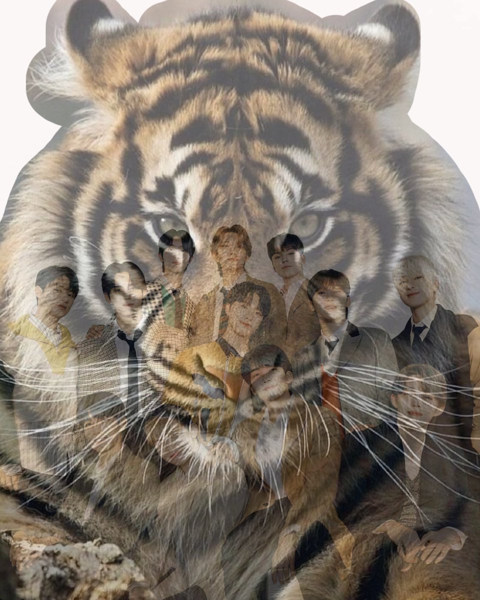 leaderline tweet picture