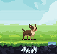 PixelDogs tweet media