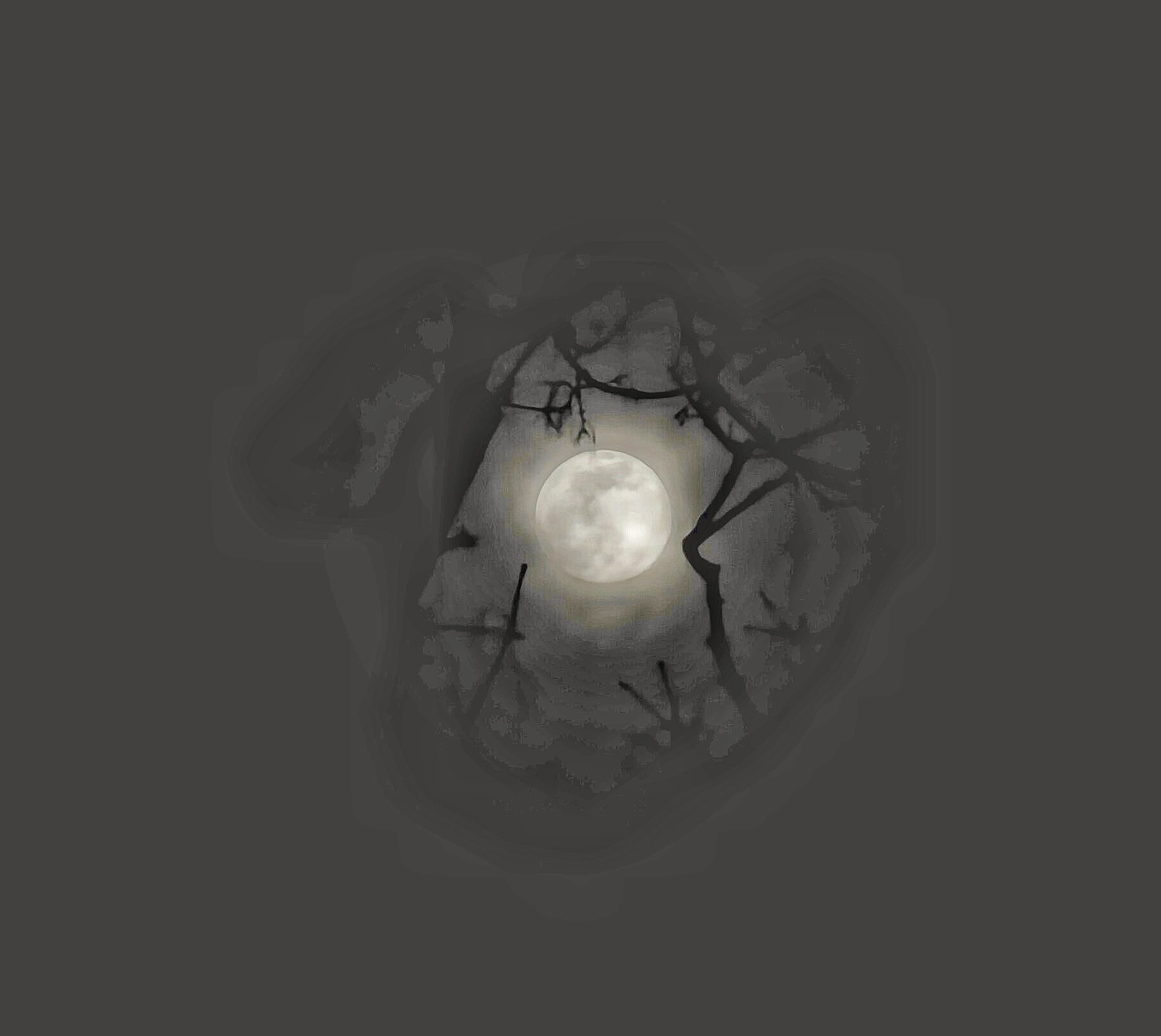 Follow S Stratacoustik Latest Tweets Twitter