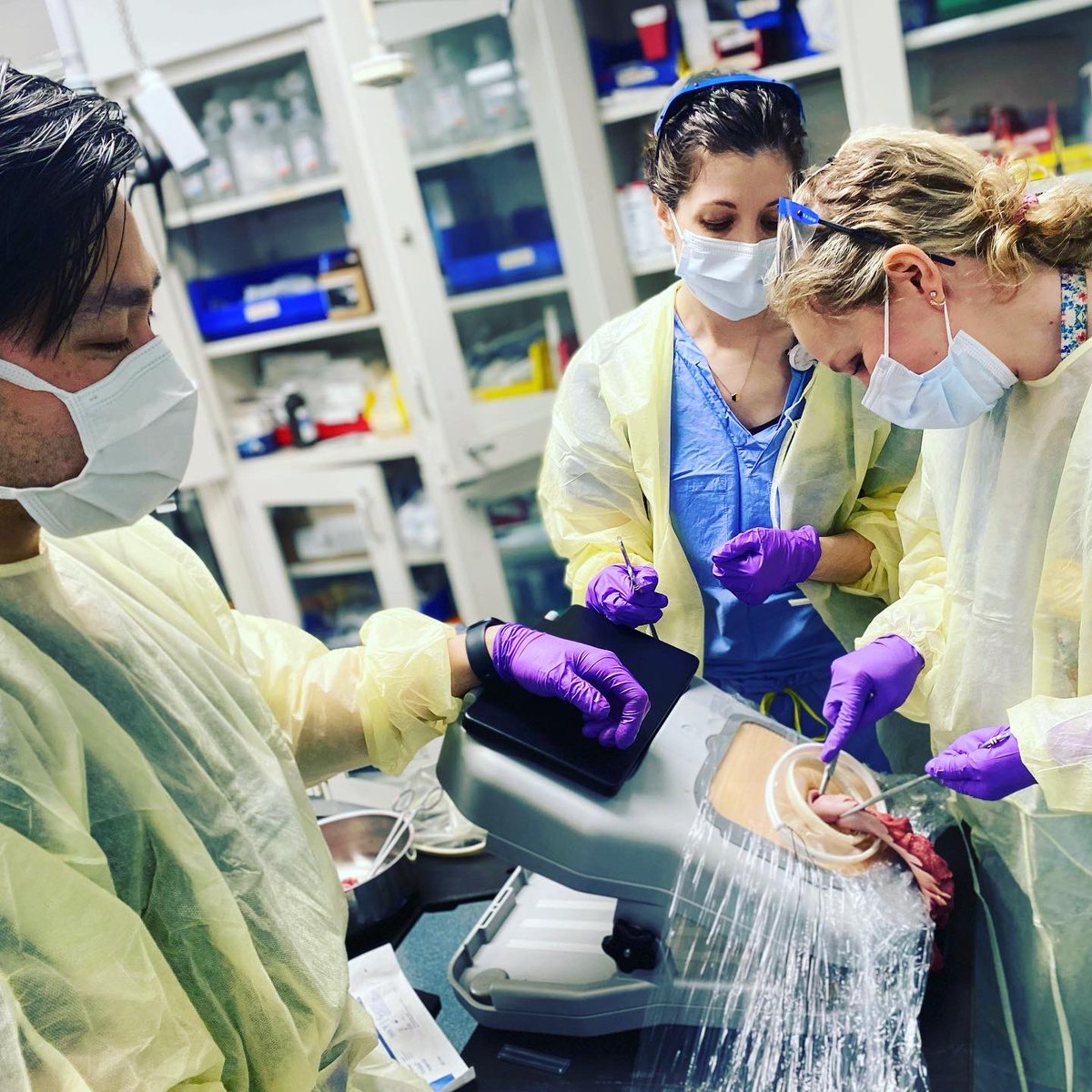 Cara R. King, DO, MS, FACOG, FACS tweet media