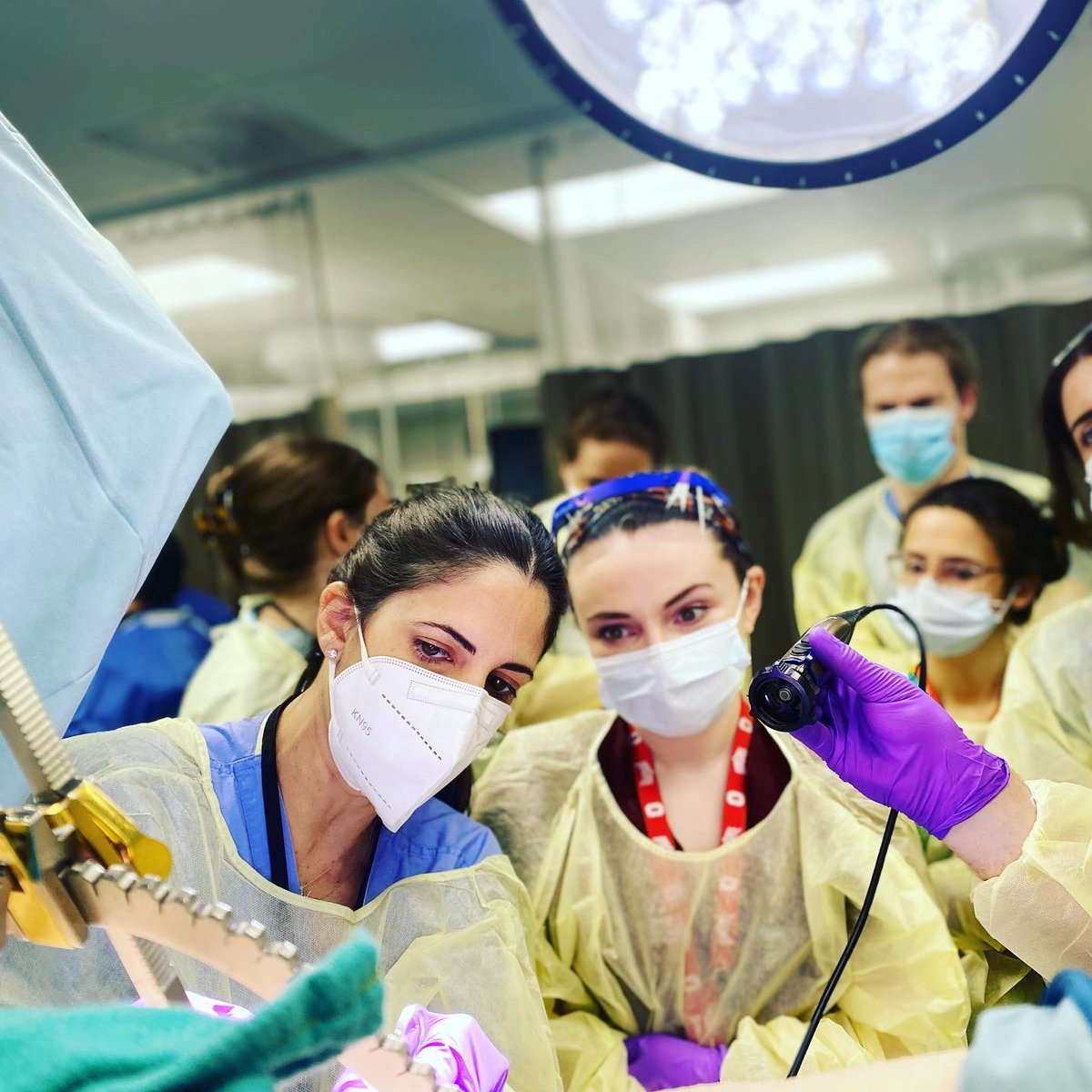 Cara R. King, DO, MS, FACOG, FACS tweet media