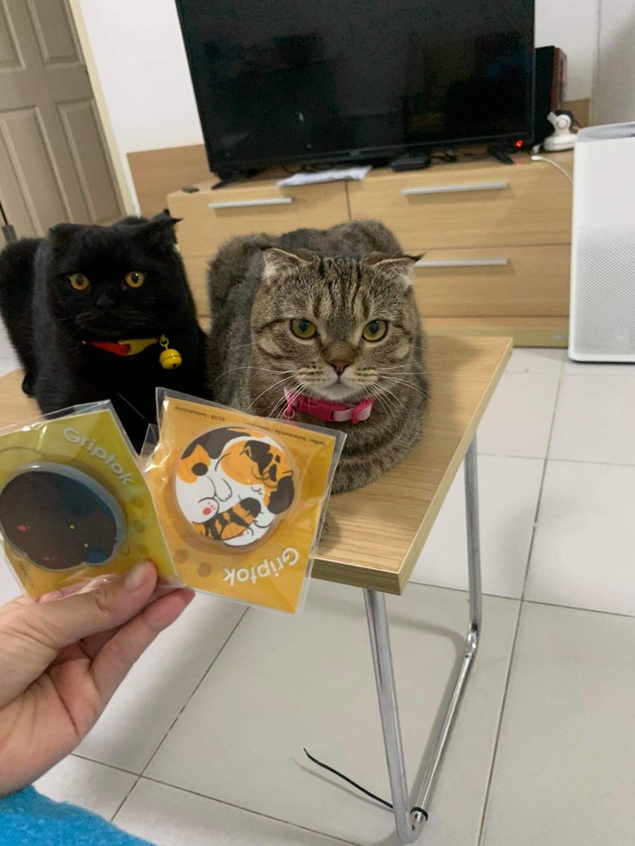 turtursketchy's tweet photo. Awwwww my #DangoCat with my customer’s cats 🥺💕💕💕💕💕💕
My heart melted!! I’ll release new cat print for the right hand side one 🥹💖 https://t.co/jakGaX4lKz