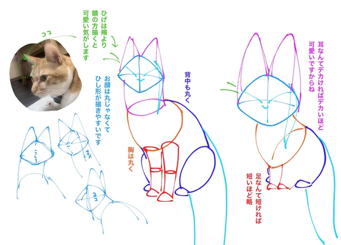 描き方とは違うかもなのですが、個人的に可愛いポイントを簡潔に描いてみました。あとはpkmnおすすめです…!ブイズは線は少なく体はほどよく丸いのでとっても描きやすいのです。 