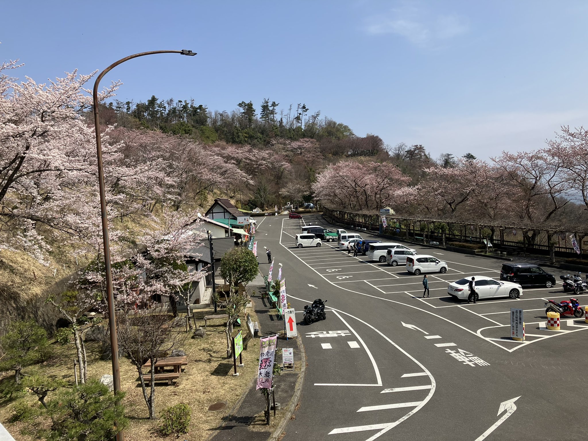 奥琵琶湖の桜 Okubiwakosakura Twitter