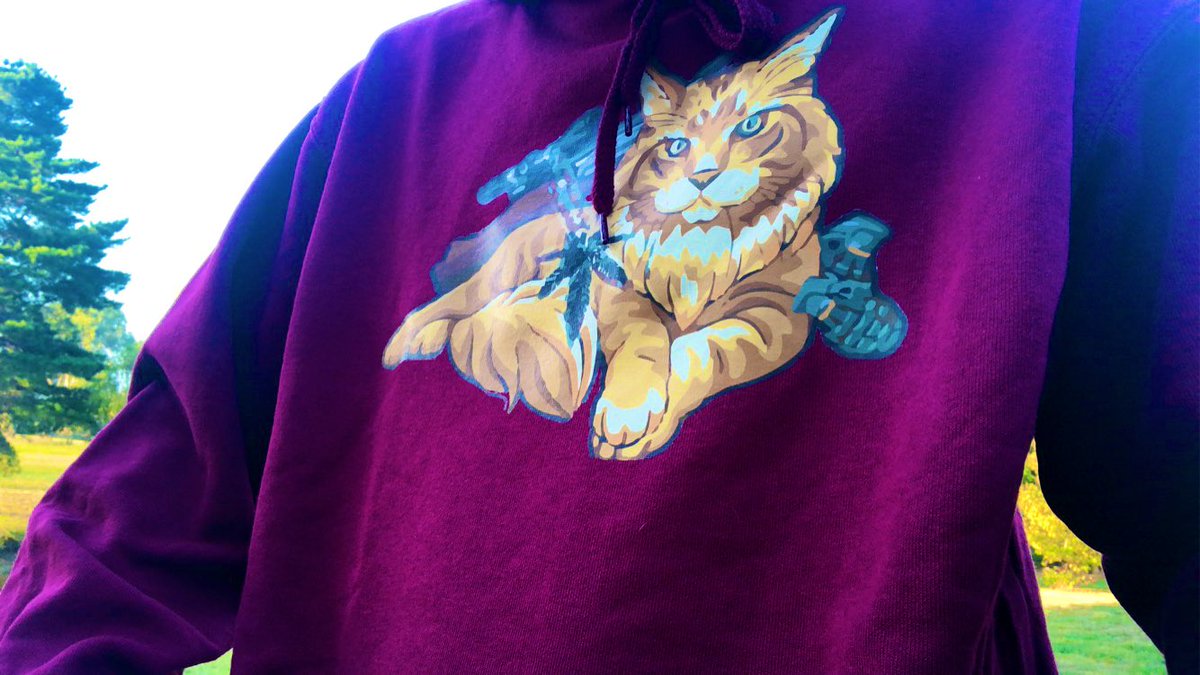 ILynxy3's tweet photo. 👀WARNING👀 CoD Player Goes #outside 👀 Wow wee! I am #stoked with the brand new #iLynxy3 hoodie from #AESGApparel ! I have been incredibly warm and cozy since it arrived! 🤩 there are many different colours to choose from now! Secure your hoodie today! 🥳 https://t.co/4s75zZZMYV https://t.co/u8NsY2JuTC
