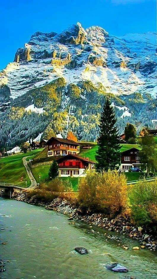 Good morning , have a beautiful day ❤⚘🍁👆💢🌹♥️💛🌺💗🌻