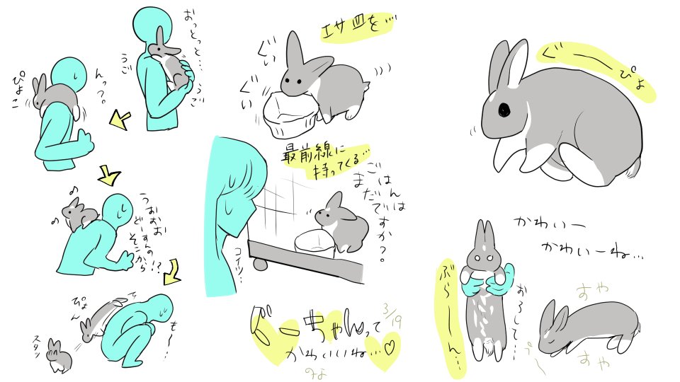 うさぎは大きくなりました!!元気元気 