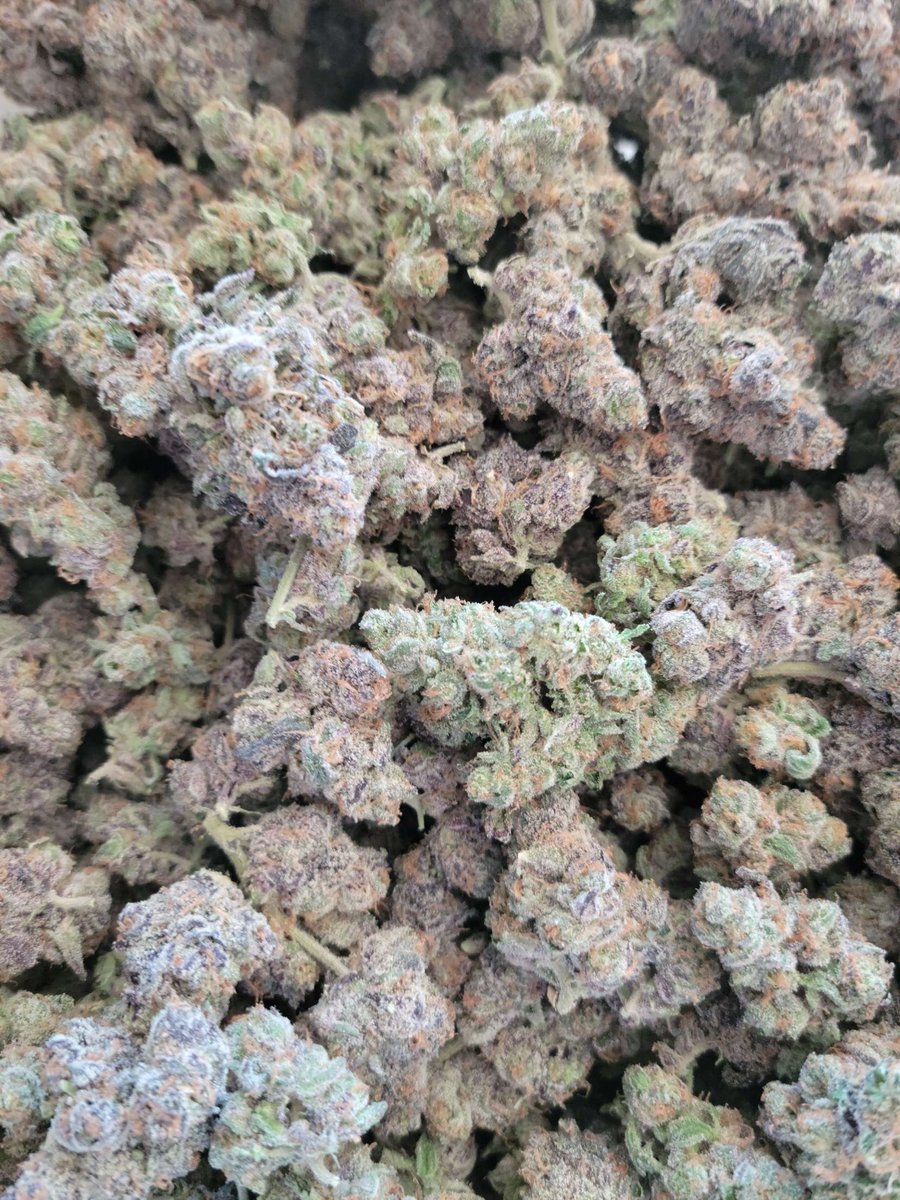PsychedAtx's tweet photo. Austin plug ⛽🍀🍄🔥🔌 TAP IN 4 DEALS AND DELIVERY prerolls available #Austin #austinweed #austinplug #austin420 #shrooms #wakeandbake #austinstoners https://t.co/UeV0GBhf9h