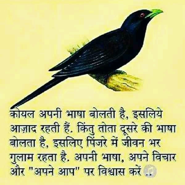 meensingh089's tweet photo. https://t.co/33iZwdTUSp