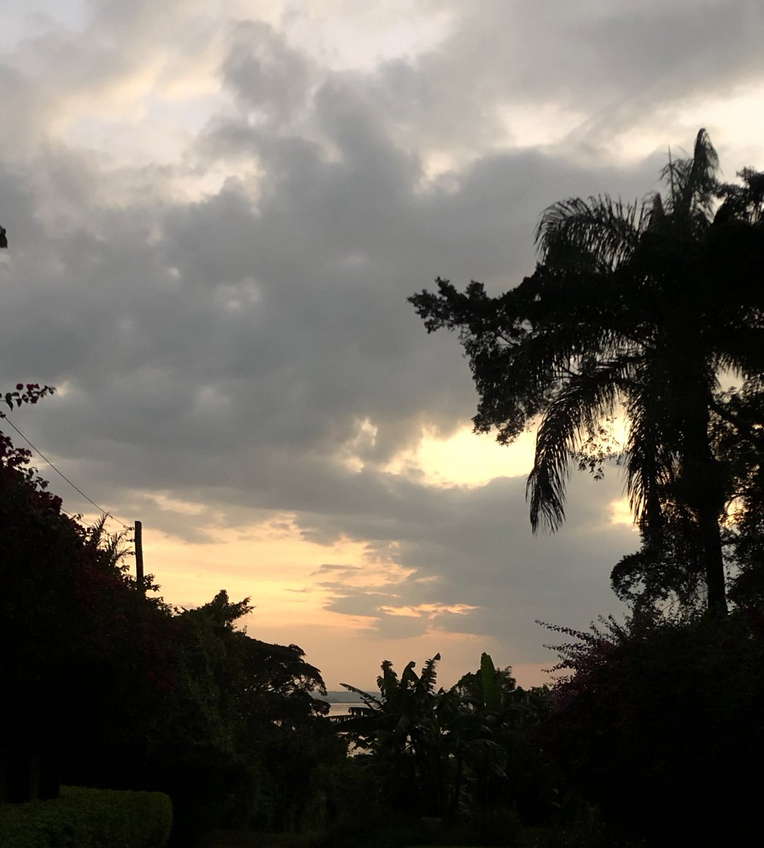 the_bushgal_'s tweet photo. A bright morning.
#DestinationUg
#AroundUgonTwitter.
#naturelovers https://t.co/3gI3b8I7aJ