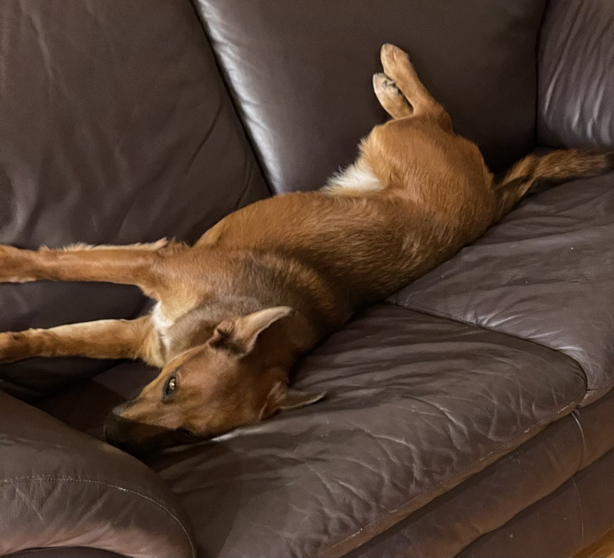 Rick Goldstein tweet media