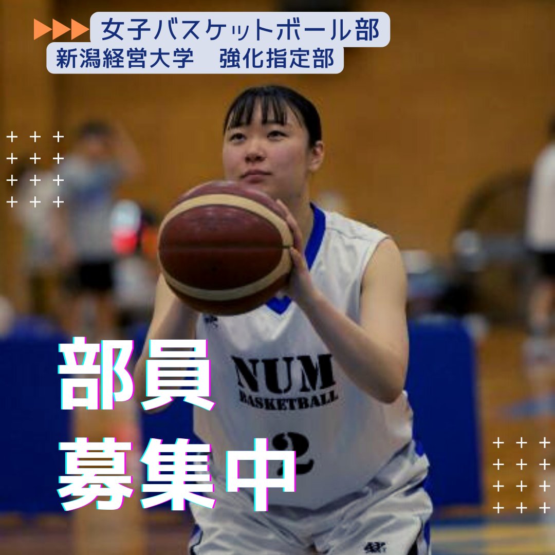 新潟経営大学女子バスケットボール部 Numbasketball Twitter