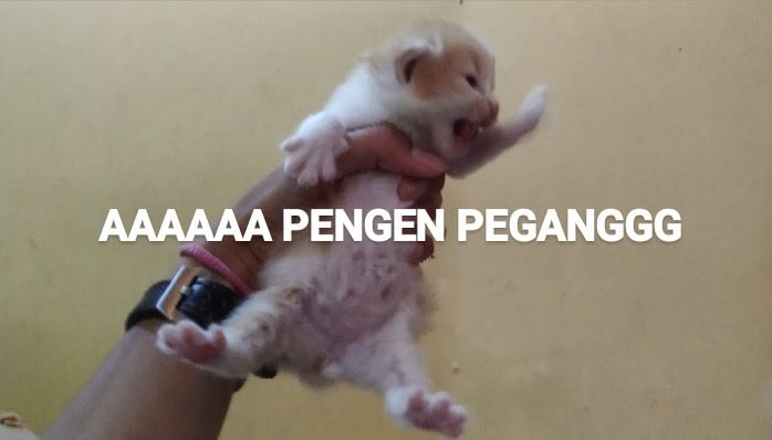 Lee Minho (@sk8ppunk) on Twitter photo 