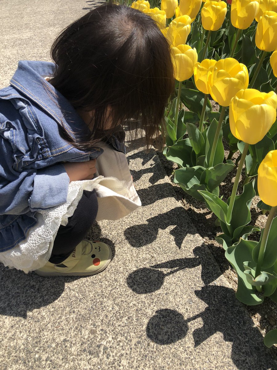 mo_mo_832's tweet photo. 昨日ワールドローズガーデン行ってきたー。ネモフィラの海に溺れてチューリップの色を言いながら散策〜 https://t.co/zNrmoNrkdb