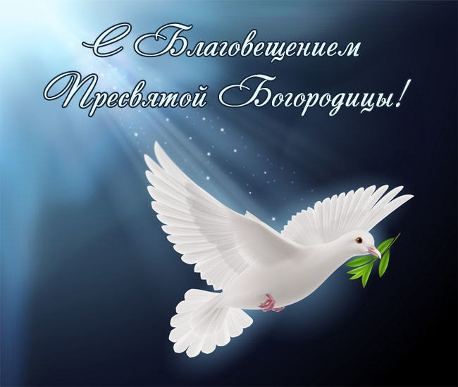 Ольга Райкова (@supermamylechka) on Twitter photo 