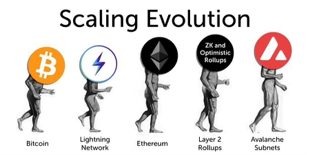 Wolf of AVAX🔺 tweet media