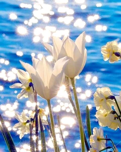 Have a happy thursday💙🍀🌿🌴☕❤💜💗💕🍃💚✨🙏