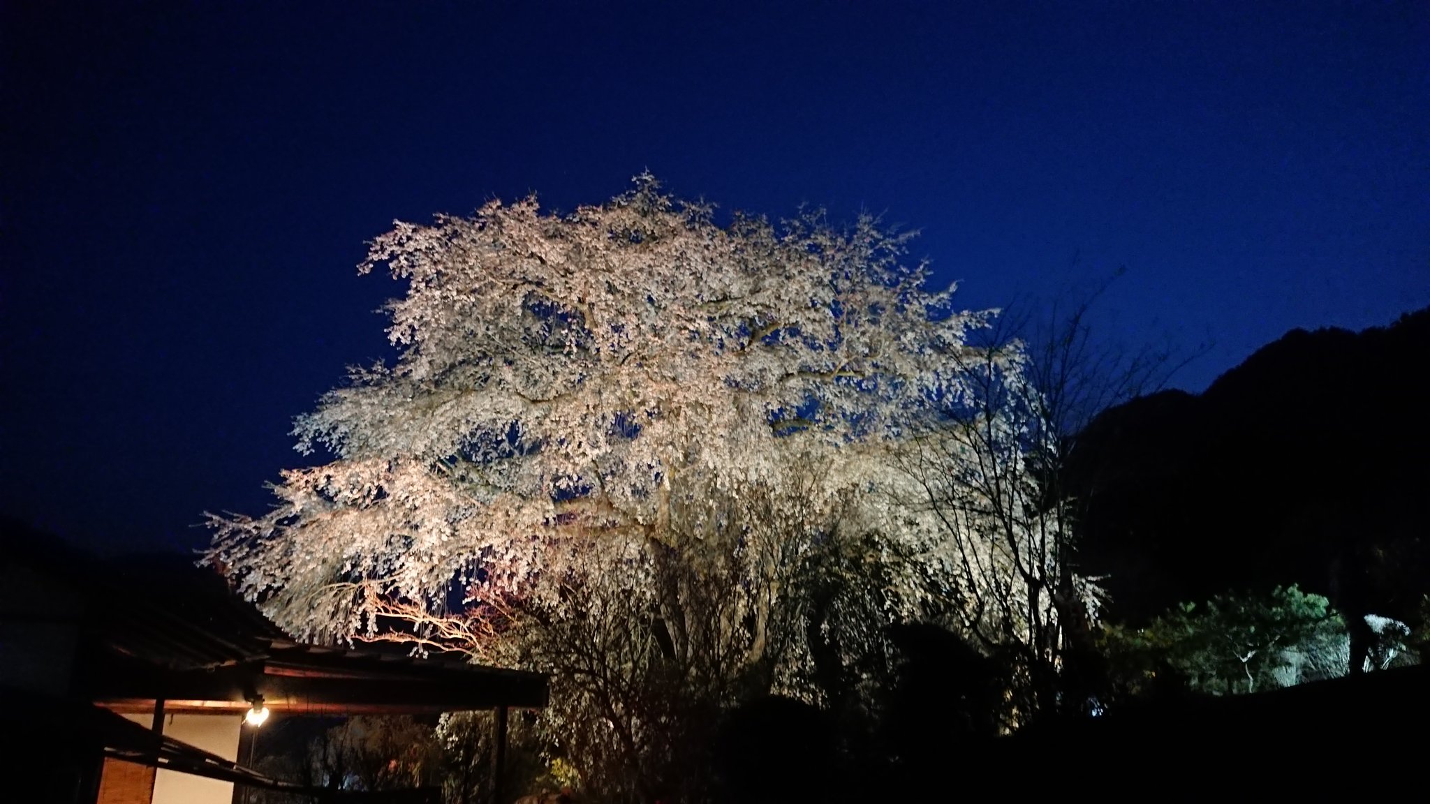 湯の山温泉 森井旅館 Moriiryokan Twitter