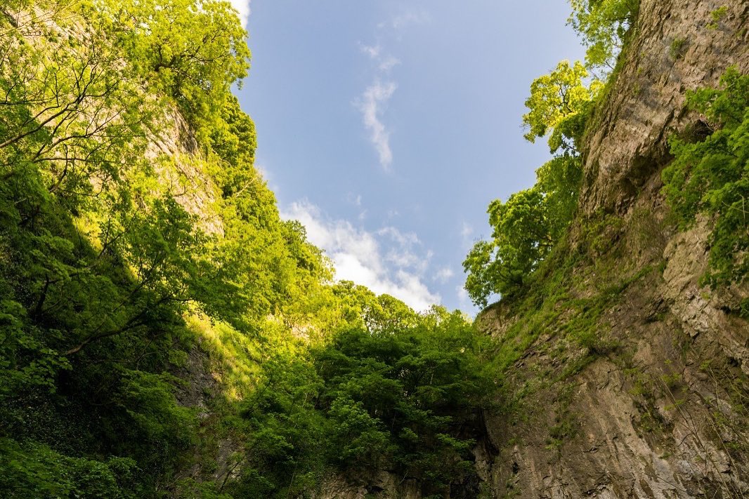 The Village Screen tweet media