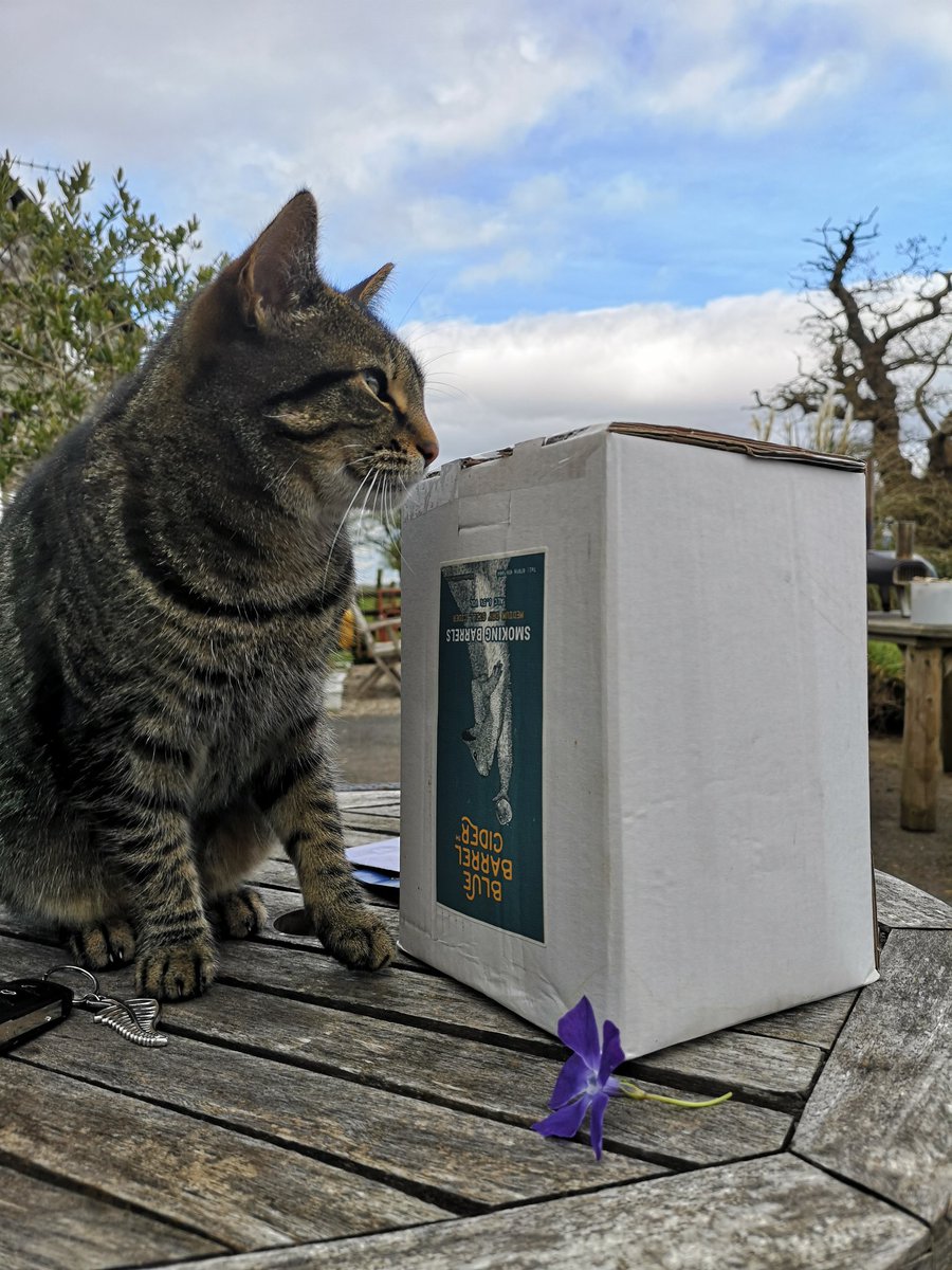 BlueBarrelCider's tweet photo. Visiting family in Whitney-on-Wye. Their cat Kirsty fully endorses the Smokin Barrels π»
Next stop Hay on Wye for the weekly market π
Very much looking forward to catching up with @ArtistrawCider
later
#easterhols
#cidertour
#CatsOfTwitter https://t.co/9Md8GteVmd
