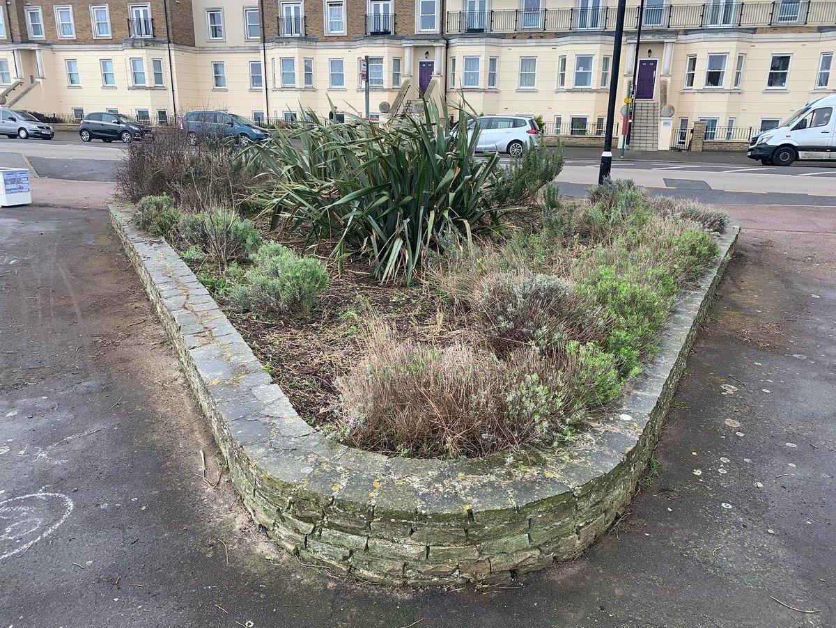 theovalct9's tweet photo. The historic raised flower bed was cleared of weeds and tidied up by volunteers from the #OvalGardeningClub! Thank you to our wonderful volunteers! We're here most Wednesday's 10am-2pm making The Oval beautiful, if you'd like to help please come along. #margate #cliftonville https://t.co/nwOjnPaWor