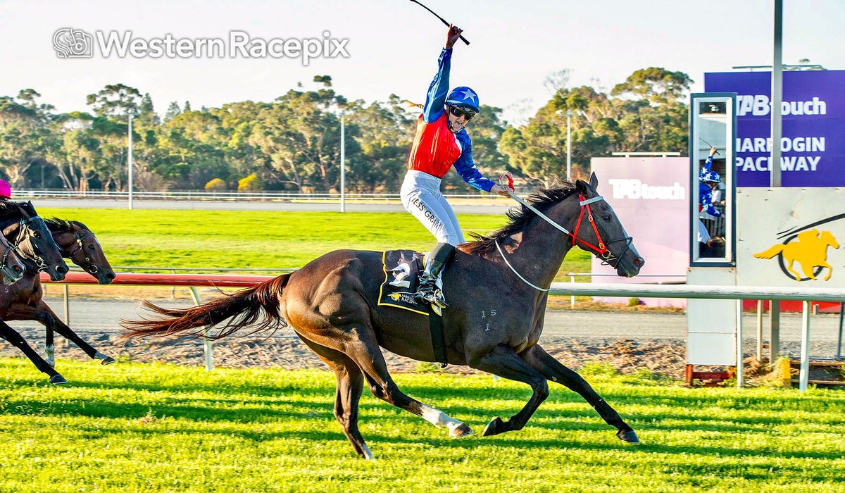 WesternRacepix's tweet photo. MAJINIKA - 2022 Iron Jack Narrogin Cup #WesternRacepix #NarroginCupDay

More 📸 https://t.co/SigLznFSeZ https://t.co/QMpBKJL5GF