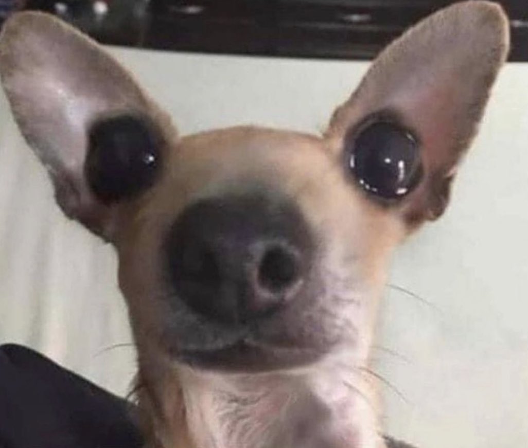 — !Mira el audio que te mande!

Yo: