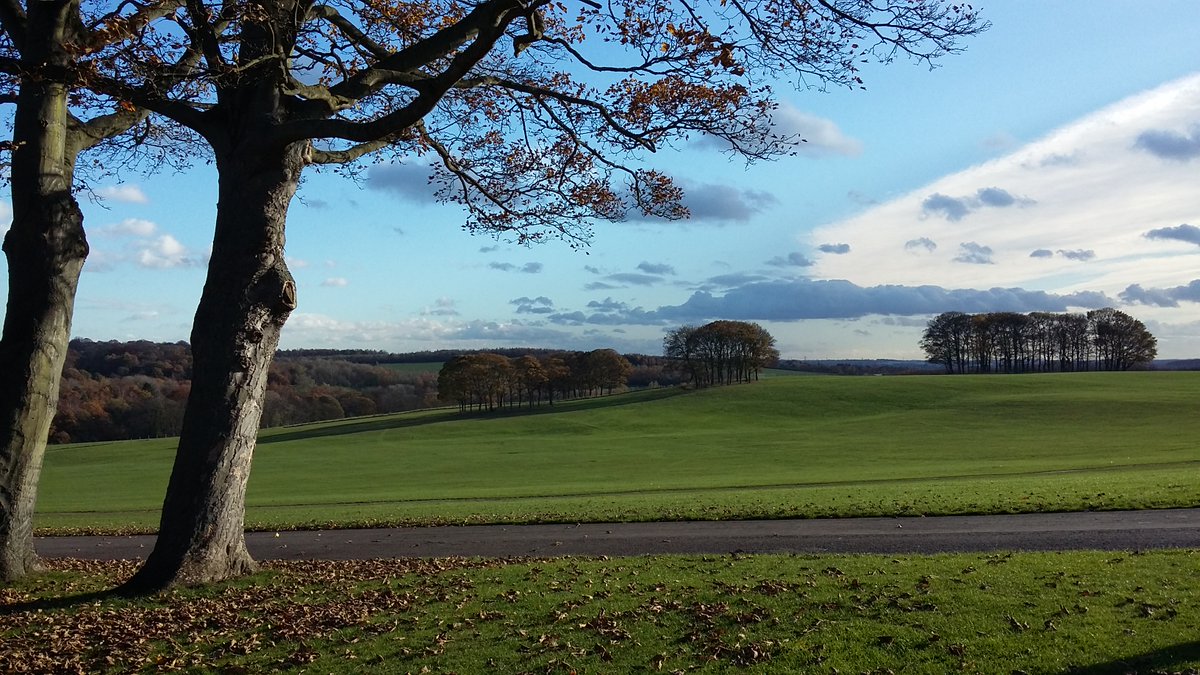 thegardenstrust's tweet image. Temple Newsam, #Leeds has had a long landscape history, from formal C17th gardens, to @BrownCapability's lovely parkland.
Now it's hosting @BBCRadio2's #LiveWeekend in Sept!
As it's #FloralFriday here is the wonderful display in their #glasshouses - will you pop in @ZoeTheBall?