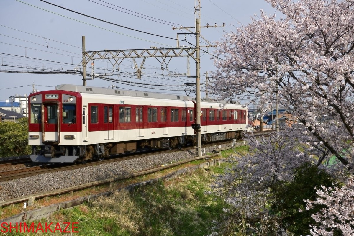 50101TUBASA's tweet photo. (試)1201系 RC09 出場試運転
塩浜検修車庫にてC#1309車輪交換のみ行いました
出場試運転塩浜〜伊勢若松間実施されました
春らしいぽかぽか陽気でよかった
桜🌸見頃で散り時期にコラボやれた
① 楠〜長太ノ浦
② 楠〜北楠
#RC09
#長太ノ浦ストレート
#鈴鹿川派川橋梁と桜
#近鉄 https://t.co/EA5HK1q7c0