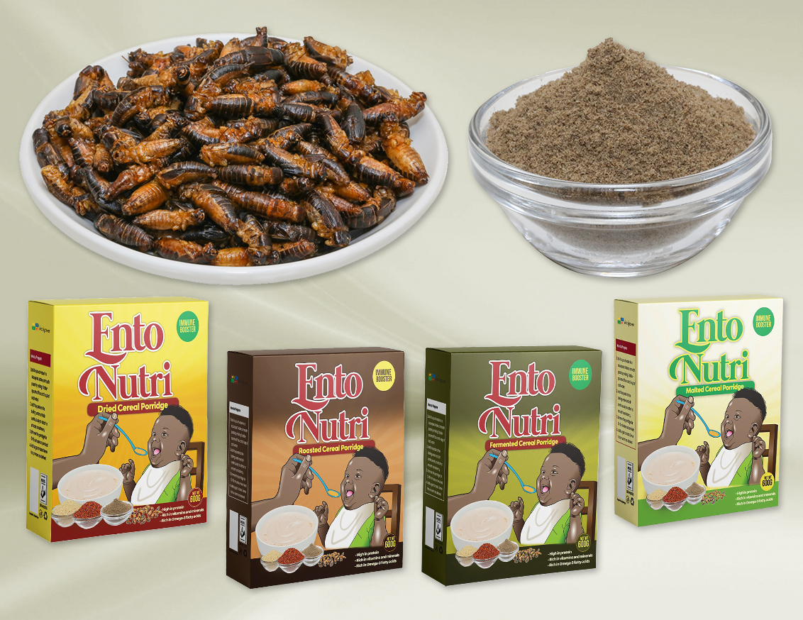 icipe's tweet photo. As @icipe turns 52, it continues to engage in cutting edge research to ensure #FoodSecurity and good health. Recently, our researchers used insect nutrients to transform African porridge into a nutritious super-food. Read more: https://t.co/evPPlGi6SH
#gamechanger #InsectsForLife https://t.co/34MxyXWwbD