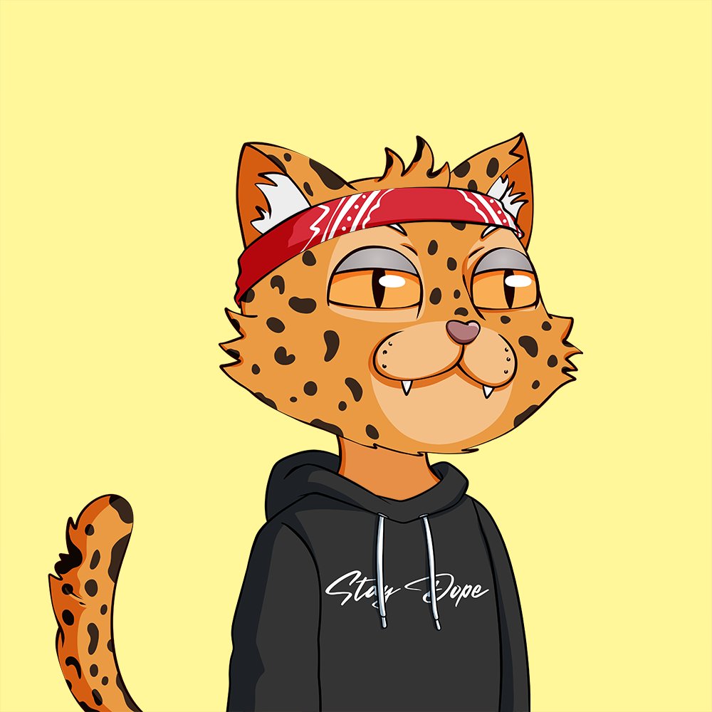 Gm Dope Fam ☀️

Giving away this Dope Cat to 1 lucky winner 🎉

RT &amp; Comment "Dope" for a chance to win!

Good Luck 😸