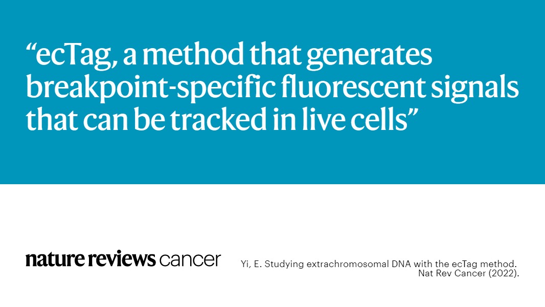 NatureRevCancer's tweet photo. NEW #NRCToT β Tools of the Trade, a new article type for @NatureRevCancer! @_eunhee_yi_ describes the development & use of the method ecTag which allows imaging & #tracking of extrachromosomal DNA in live cancer cells.
π¬https://t.co/qOLqYIupJT
@natrescancer #ecDNA @jacksonlab https://t.co/qZ7Vj1JrvH