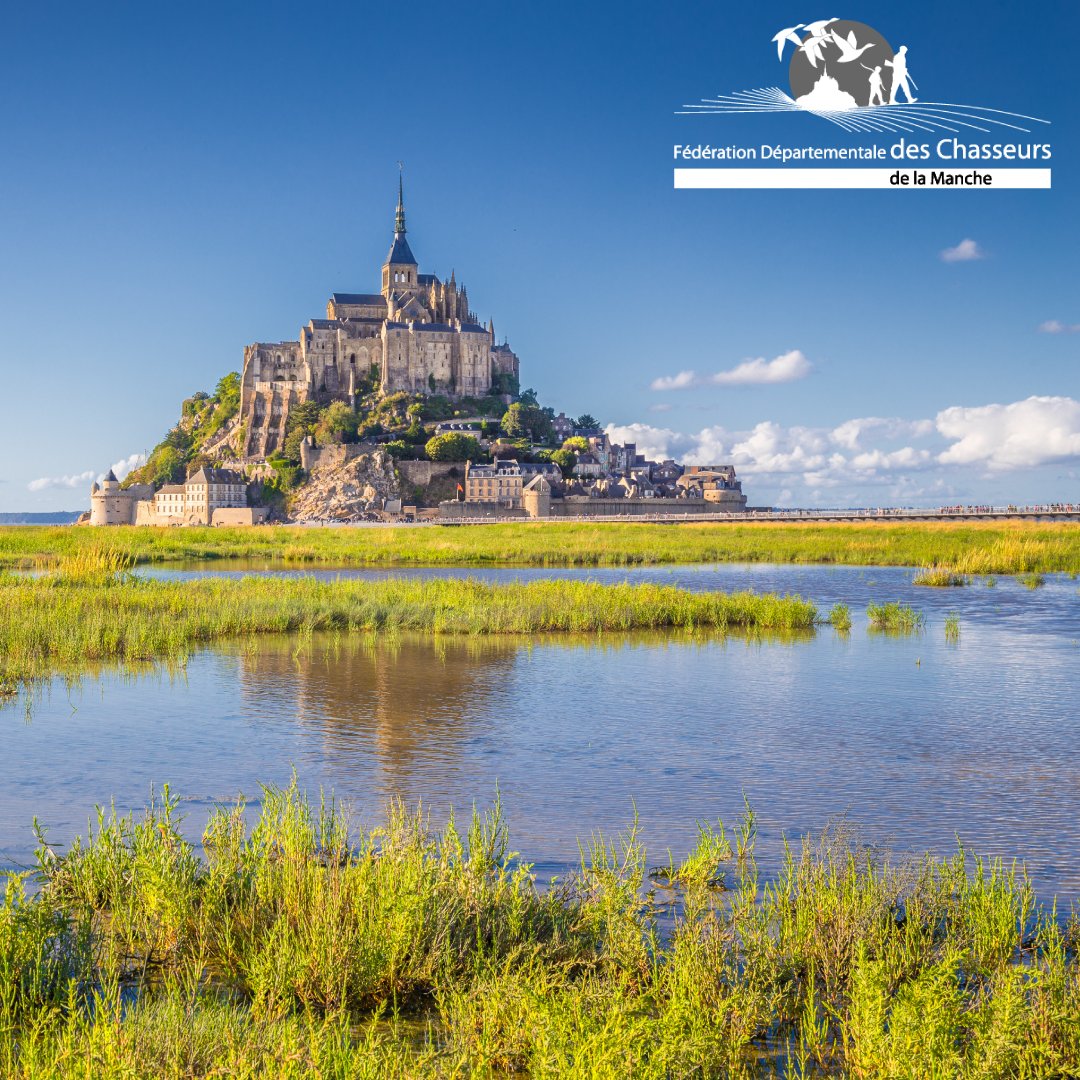 FdcManche's tweet photo. Vous connaissez tous ce lieu emblématique de la manche : la baie du Mont Saint Michel ✨

Profitez du dépaysement de ces 3000 hectares, situés en réserve maritime de chasse, où de nombreux modes de chasse coexistent.🤝🏻

#montsaintmichel #normandie #chasseautrou #fdc50 #UNESCO https://t.co/XgM437zpCA
