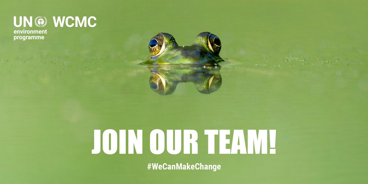 Senior role in our Nature-based Solutions team, closes 12 April - please share! #biodiversityjobs #climatejobs unep-wcmc.org/en/careers/dep…
